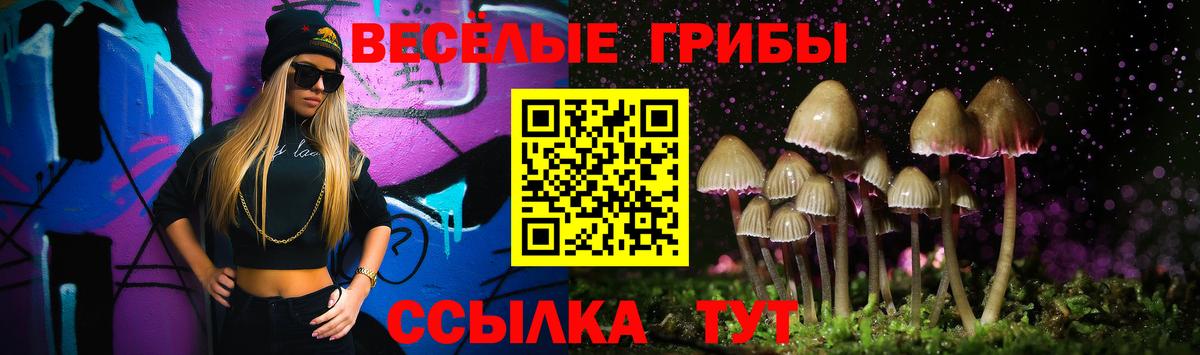 Псилоцибиновые грибы MAGIC MUSHROOMS  Вход с VPN  Красногорск  Псилоцибиновые грибы мицелий 